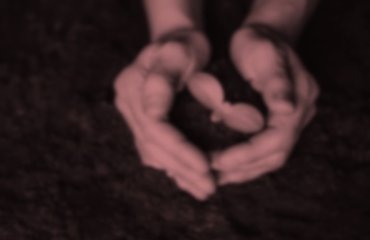 Nachhaltigkeits-Report 2022 Kachel